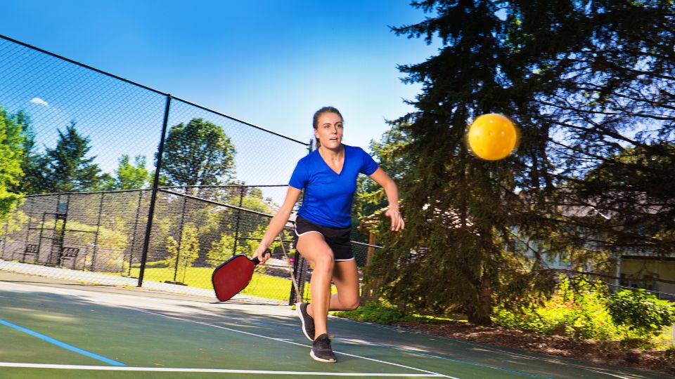 pickleball dinks 